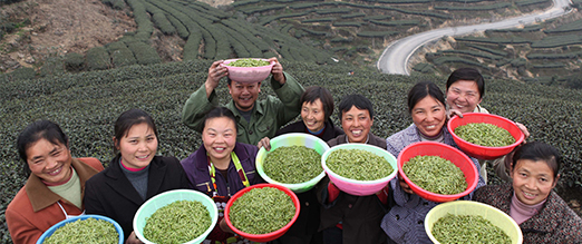 2019年永川秀芽及茶叶企业获奖情况